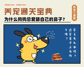 为什么狗狗总爱舔自己的鼻子？