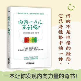 内向一点儿 不好吗 帕特里克·金 著 不讨好不从众不迎合认可自己写给社恐高敏感人群的疗愈指南 内向型作者自身的经历与经验