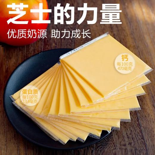 妙可蓝多芝士片原味 商品图1