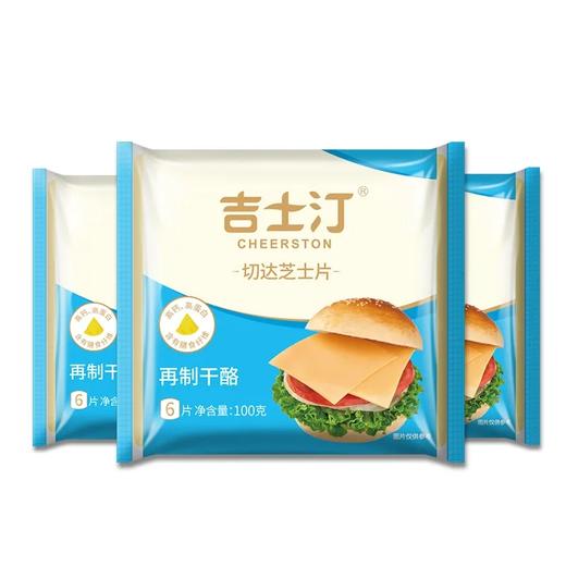 吉士汀芝士片切达100g 商品图1