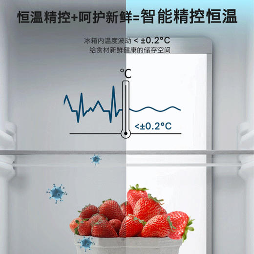 博世（BOSCH）630升对开门冰箱活氧除菌 智能精控恒温 微嵌入双开门冰箱 一级能效变频 滤膜保湿BCD-630W(KAN98VA59C) 商品图2