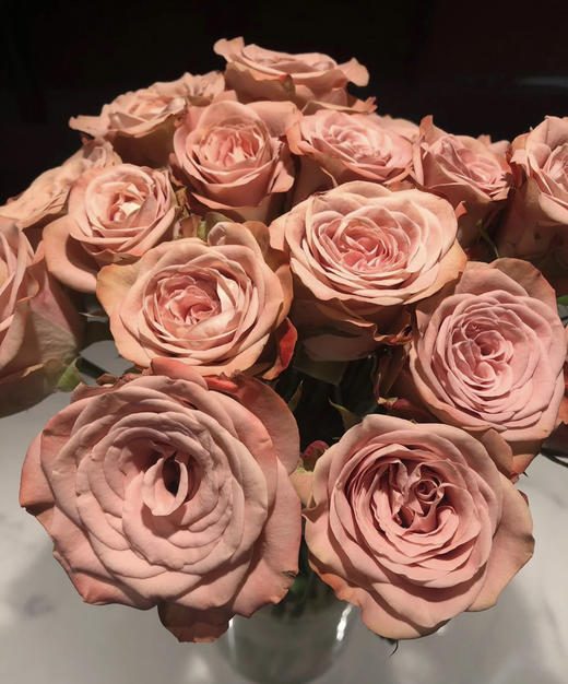 【昆明玫瑰】卡布奇诺  19-20支/扎  约70公分 商品图8