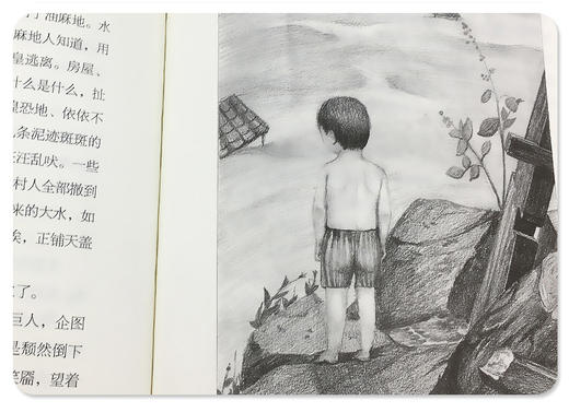 现货正版曹文轩小说非常典雅系列典藏版 哑号 中国儿童文学阅读书内含精美纸质书签 小学三四五六年级课外读物 阅读能力辅导书JZ 商品图0
