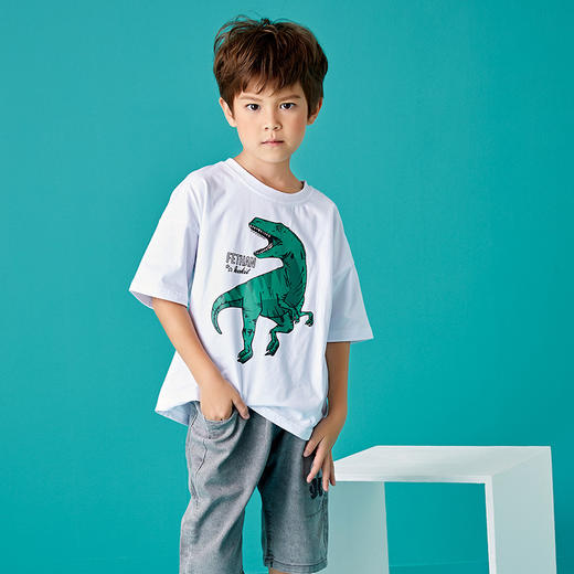 【49元/2件】儿童纯棉T恤 A类材质 纯棉 亲肤柔软舒适 商品图3