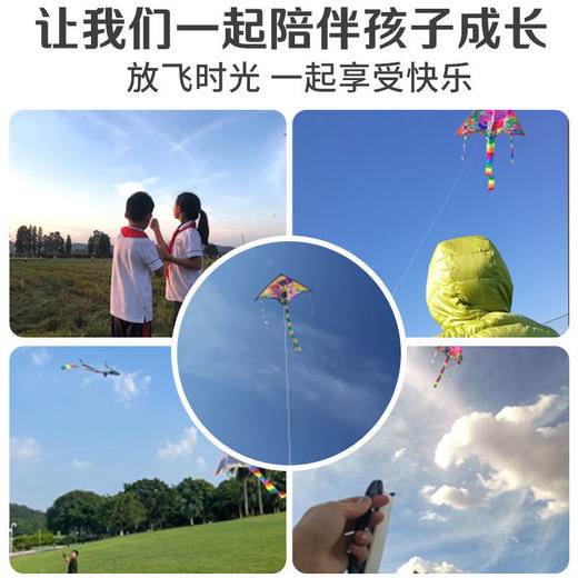 新款风筝儿童易飞儿童风筝卡通成人线轮易飞三角潍坊初学者玩具国庆清明出游 商品图3