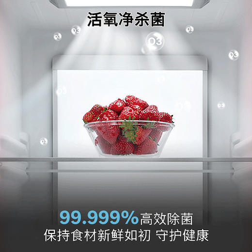 博世（BOSCH）630升对开门冰箱活氧除菌 智能精控恒温 微嵌入双开门冰箱 一级能效变频 滤膜保湿BCD-630W(KAN98VA59C) 商品图1
