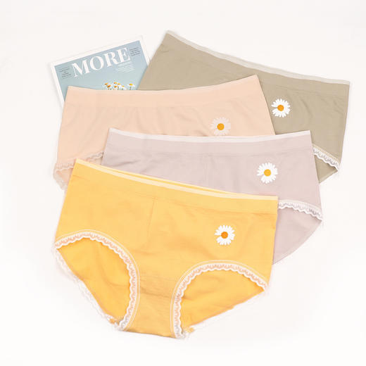 黛唯梵日系盒装小雏菊导湿裤板蓝根石墨烯裤裆透气中腰无痕三角内裤女国庆清明出游 商品图3
