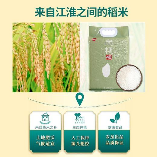 【金奖大米】新米 南粳46大米 香糯可口 5斤/袋 商品图3