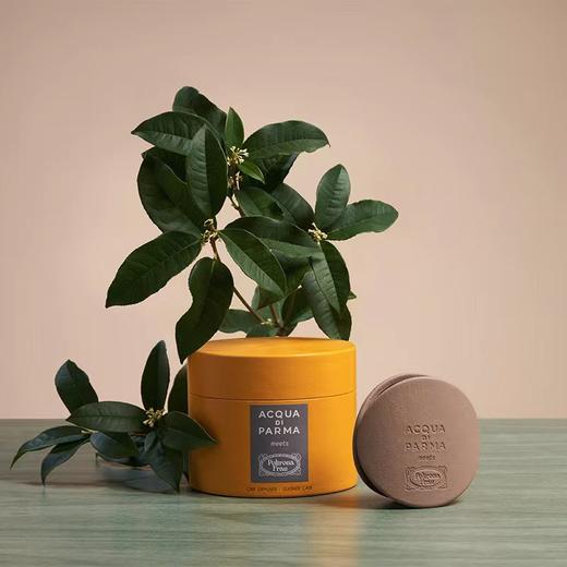 Porsche保时捷限量周边 定制车载香氛 限量版 数量极少 商品图4