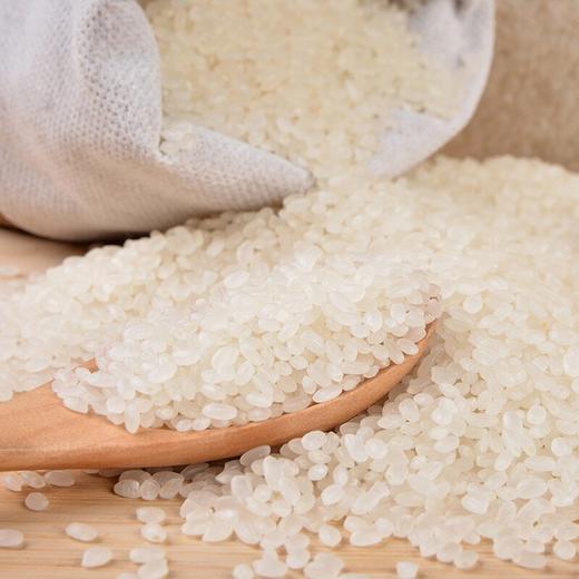 【金奖大米】新米 南粳46大米 香糯可口 5斤/袋 商品图2