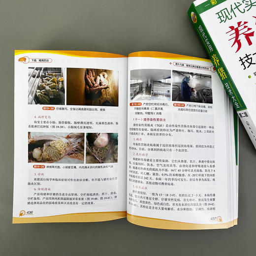 现代实用养猪技术大全（第二版） 商品图9