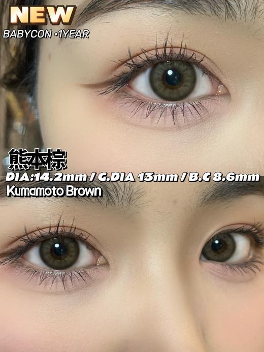 babycon  熊本棕 商品图4