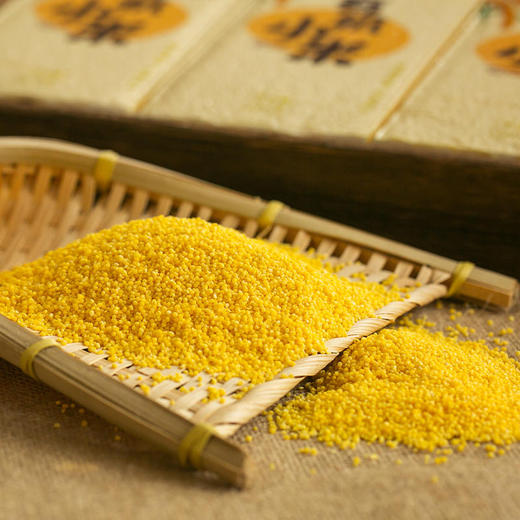 【25年新米上市】【内蒙古契丹有机小米】中国地理标志产品 唯一蒙字号 来自大自然的馈赠 赤峰有机黄小米 “世界小米之乡”养胃易消化，500g/包 商品图10