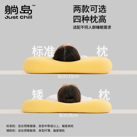 躺岛猫肚皮枕经典款枕头 商品图2