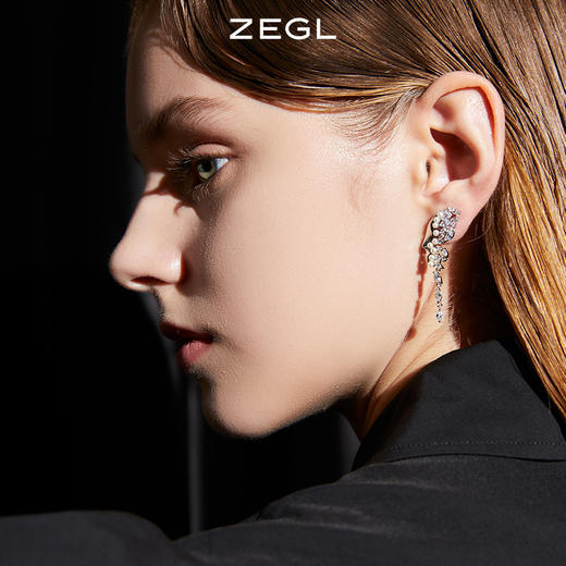 ZEGL设计师蝴蝶流苏耳环女长款高级感轻奢冷淡风耳钉925银针耳饰 商品图4