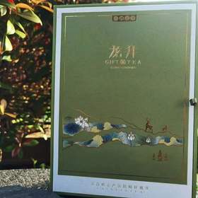 星宇茗茶 晴采浓香雨前龙井茶精美礼盒250g