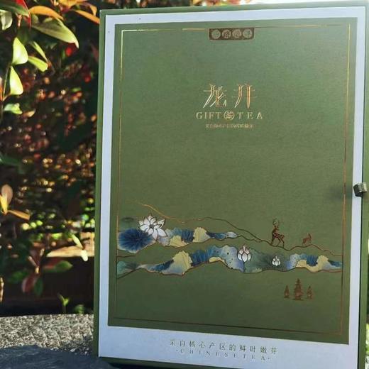 星宇茗茶 晴采浓香雨前龙井茶精美礼盒250g 商品图0