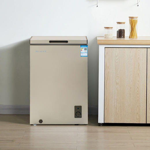 美菱(MELING)145升 冷柜冰柜 冷藏冷冻转换柜BC/BD-145DTC 商品图4