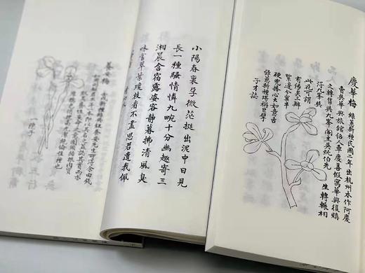 重点推荐：《续兰蕙同心录》，民国 冯子才著，线装上下册，一函装，浙江古籍出版社2019年7月一版一印，仅印500套。定价720售价498 商品图8