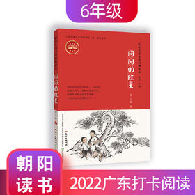 红色儿童文学经典读本【5册套装】小游击队员 两个小八路 刑场上的婚礼 闪闪的红星 小英雄雨来