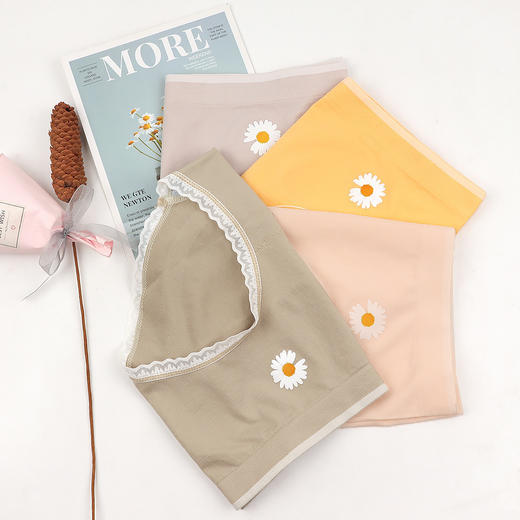 黛唯梵日系盒装小雏菊导湿裤板蓝根石墨烯裤裆透气中腰无痕三角内裤女国庆清明出游 商品图2