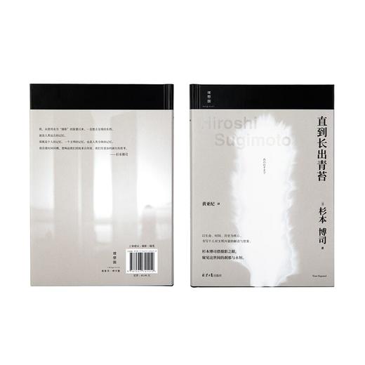 直到长出青苔 商品图1