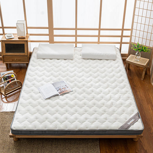 多喜爱 舒享乳胶椰棕护脊床垫灰/白【泰国乳胶健康环保】【3E棷棕呵护脊椎】【双重体验 安享睡眠】 商品图1