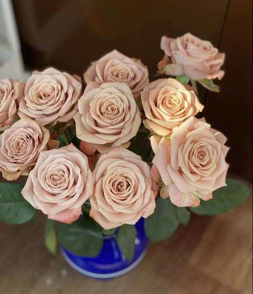 【昆明玫瑰】卡布奇诺  19-20支/扎  约70公分 商品图5