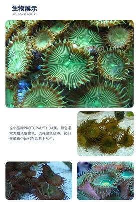 机场自提运费补差链接