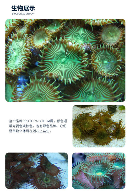 机场自提运费补差链接 商品图0