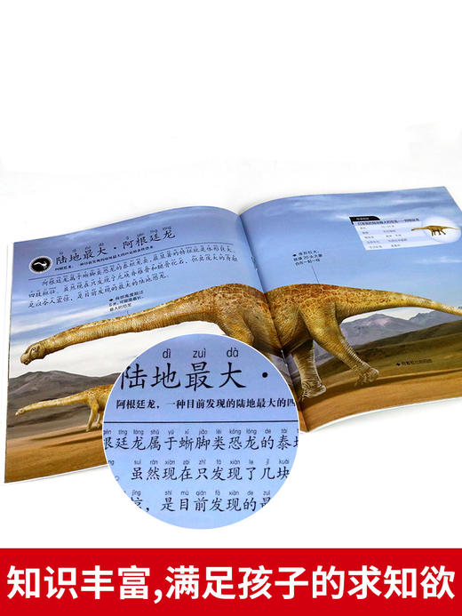 全套8册 恐龙书幼儿恐龙百科全书注音版绘本 商品图3