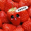 鱼子山红颜草莓 小可爱来啦  产地直发 单件包邮 商品缩略图0