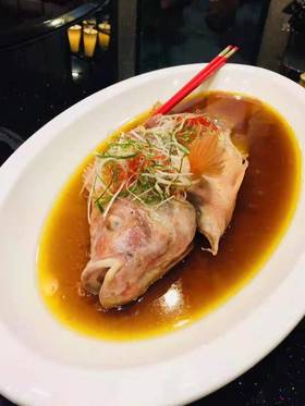 清蒸红斑鱼(条)