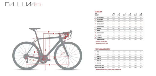 Argon 18 Gallium 碳纤维整车 商品图6