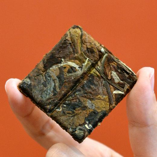 「老白鱼·方片茶」醇厚甜润，一次一袋独立包，随手泡好茶 商品图3