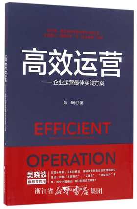 高效运营——企业运营最佳实践方案/章旸/浙江大学出版社
