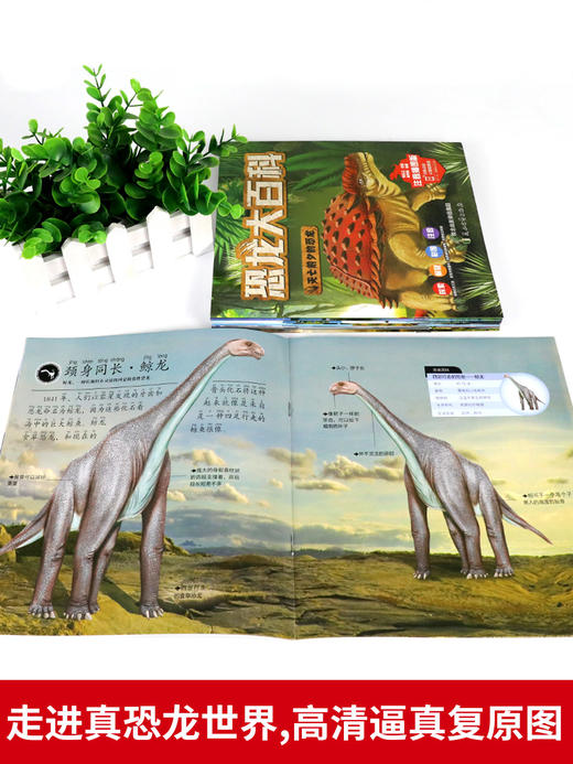 全套8册 恐龙书幼儿恐龙百科全书注音版绘本 商品图2