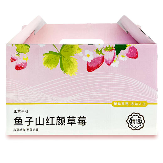 鱼子山红颜草莓 小可爱来啦  产地直发 单件包邮 商品图4