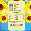 刀唛 葵花籽油3.5L 商品缩略图4