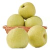 砀山梨 700g±50g 【BC】【DN】 商品缩略图1