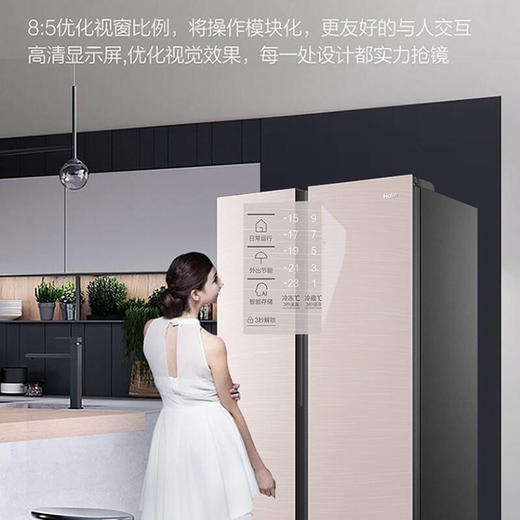 海尔539升风冷变频对开门冰箱BCD-539WGHSSEDY1 商品图3
