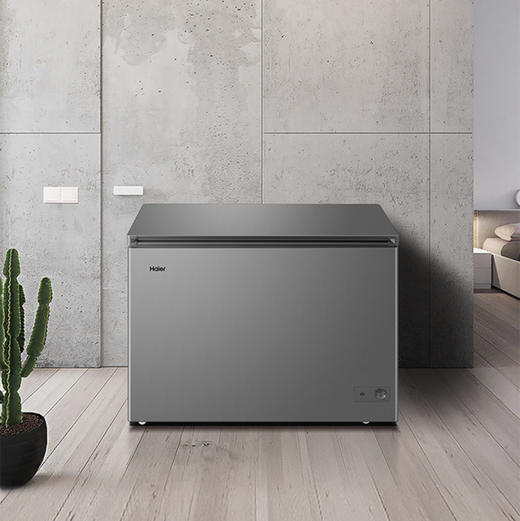 海尔（Haier）冷柜FCD-311LHKPT双温柜 商品图0