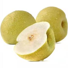 砀山梨 700g±50g 【BC】【DN】