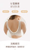 （299元/2件）时尚蕾丝胶原蛋白聚拢背扣文胸53064 商品缩略图5