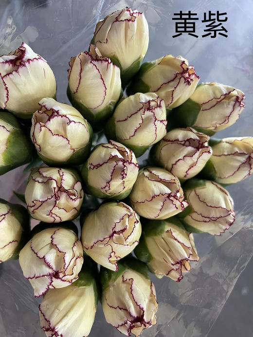 【国产康乃馨】黄紫 18-20支/扎 商品图3