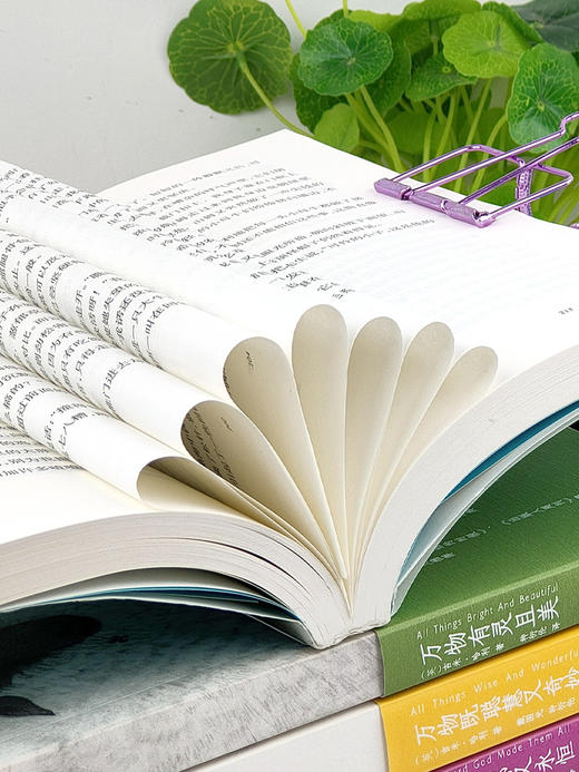 【心如健】正版 万物有灵且美系列小说 套装5册 万物生光辉 万物既伟大又渺小 万物刹那又永恒 万物既聪慧又奇妙 吉米哈利外国小说书现代小说 商品图2