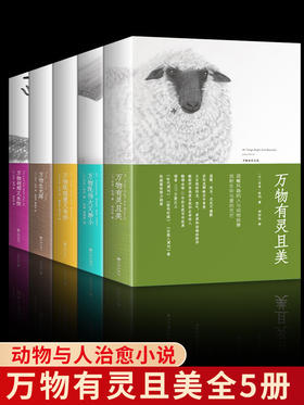 【心如健】正版 万物有灵且美系列小说 套装5册 万物生光辉 万物既伟大又渺小 万物刹那又永恒 万物既聪慧又奇妙 吉米哈利外国小说书现代小说