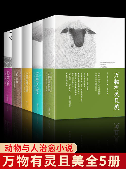 【心如健】正版 万物有灵且美系列小说 套装5册 万物生光辉 万物既伟大又渺小 万物刹那又永恒 万物既聪慧又奇妙 吉米哈利外国小说书现代小说 商品图0