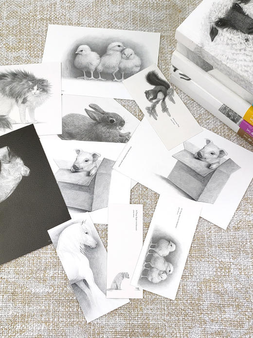 【心如健】正版 万物有灵且美系列小说 套装5册 万物生光辉 万物既伟大又渺小 万物刹那又永恒 万物既聪慧又奇妙 吉米哈利外国小说书现代小说 商品图3