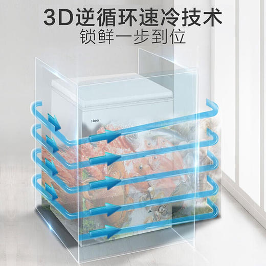 海尔冷柜 家用小型冰柜142升 冷柜一机六用宽幅调温3D逆循环速冷技术抑菌防霉门封BC/BD-142GHZ 商品图3